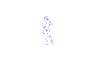 Linea Anatomica