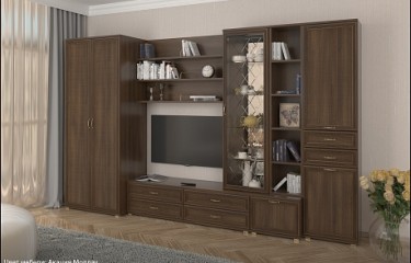 Карина гостиная 11