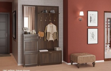 Карина прихожая 2