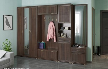 Карина прихожая 6